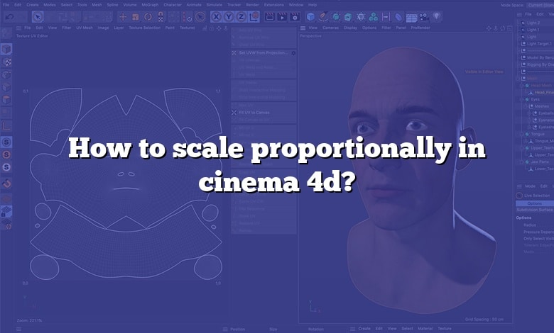 How to scale proportionally in cinema 4d?