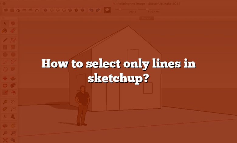 How to select only lines in sketchup?
