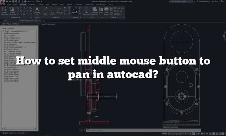 How to set middle mouse button to pan in autocad?