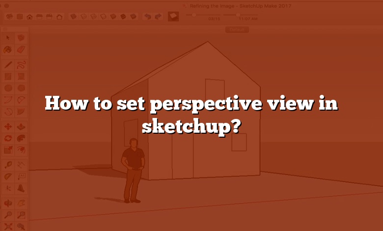 How to set perspective view in sketchup?