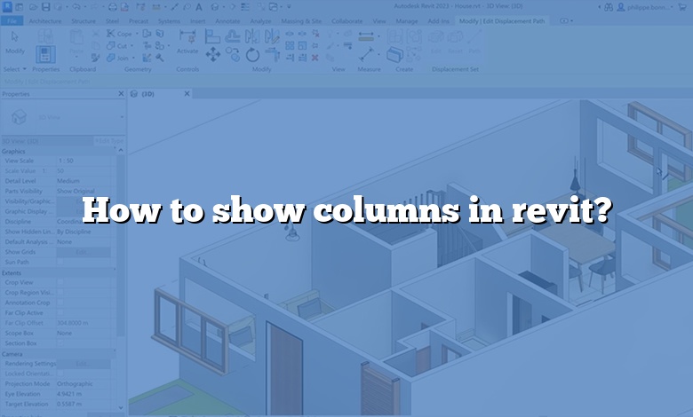 How to show columns in revit?