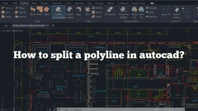 How to split a polyline in autocad?