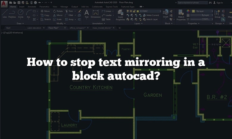How to stop text mirroring in a block autocad?