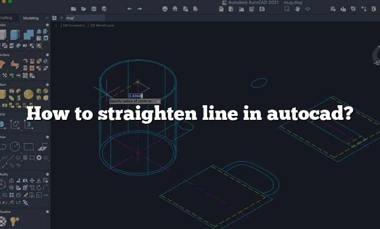 How to straighten line in autocad?
