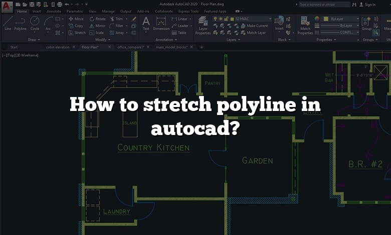 How to stretch polyline in autocad?
