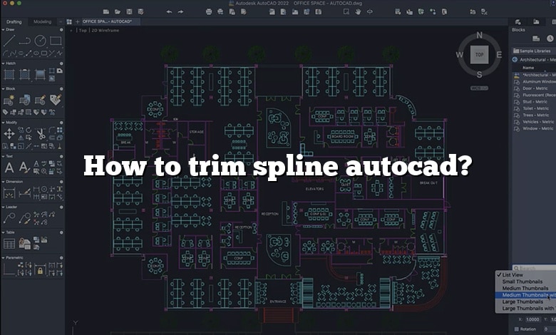 How to trim spline autocad?