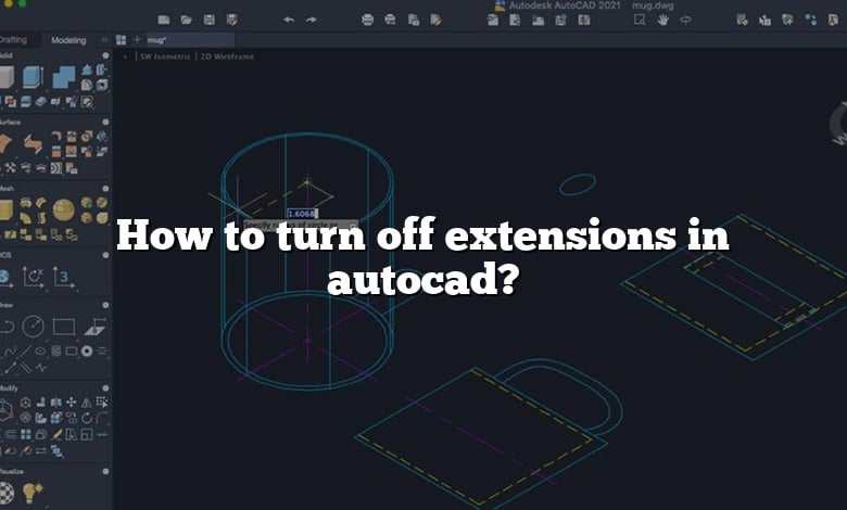 How to turn off extensions in autocad?
