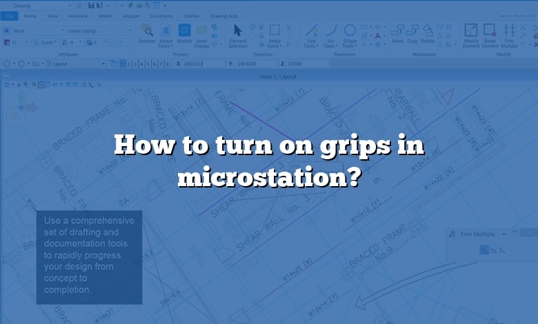 How to turn on grips in microstation?