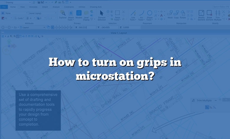 How to turn on grips in microstation?