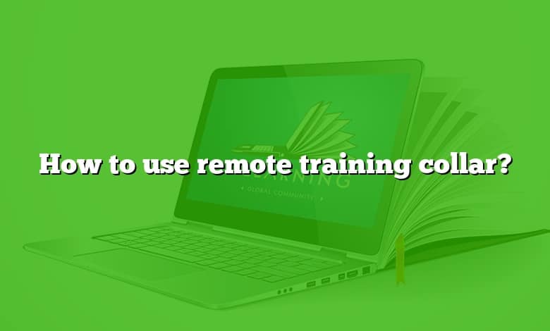 How to use remote training collar?