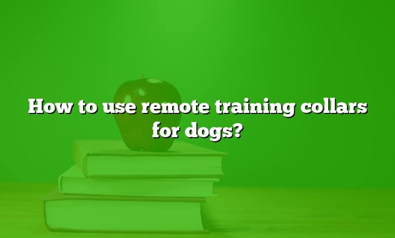 How to use remote training collars for dogs?