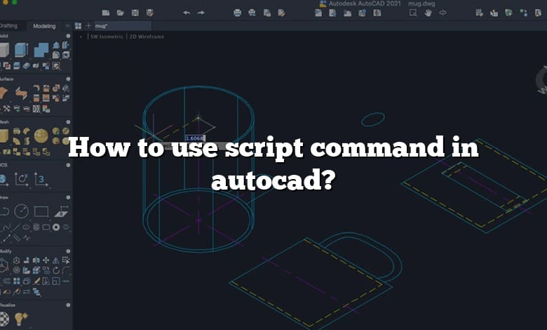 How to use script command in autocad?