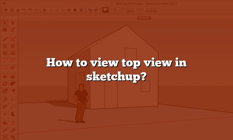 How to view top view in sketchup?