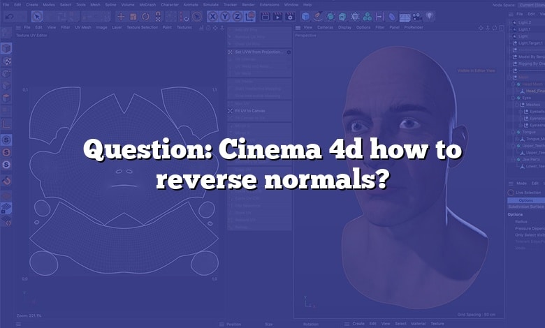 Question: Cinema 4d how to reverse normals?