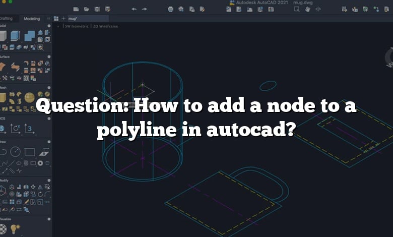 Question: How to add a node to a polyline in autocad?
