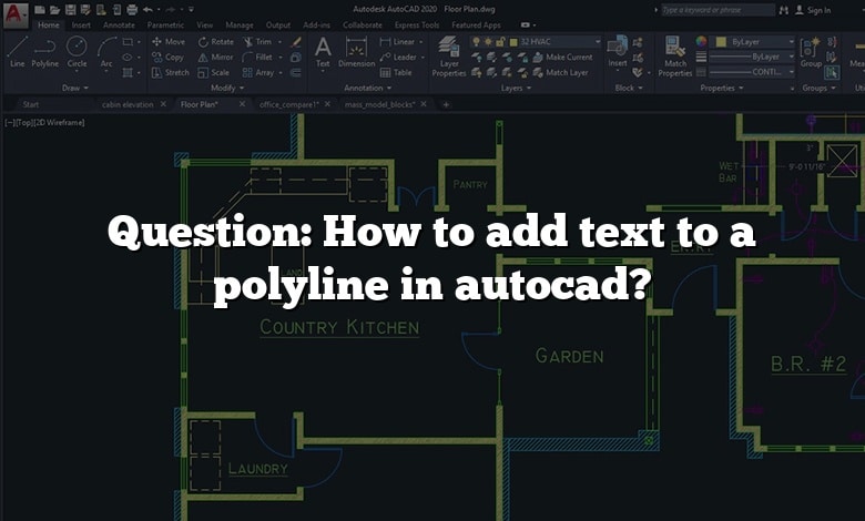 Question: How to add text to a polyline in autocad?