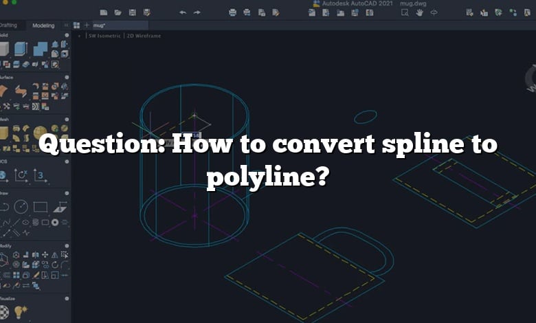 Question: How to convert spline to polyline?