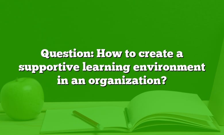 Question: How to create a supportive learning environment in an organization?