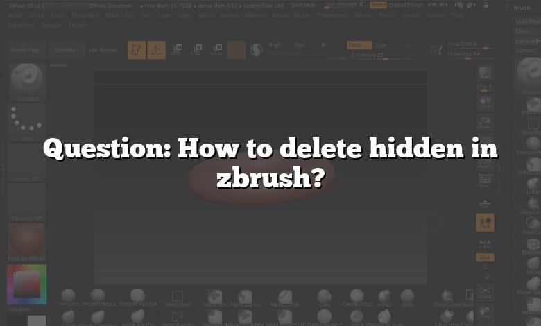 Question: How to delete hidden in zbrush?