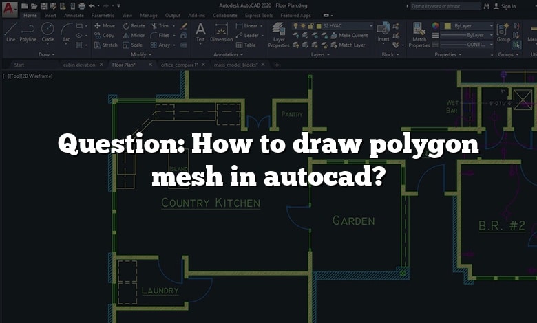 Question: How to draw polygon mesh in autocad?