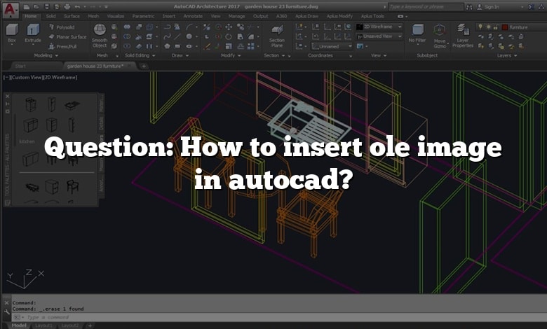 Question: How to insert ole image in autocad?
