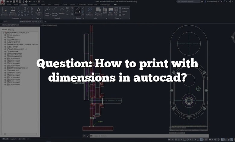 Question: How to print with dimensions in autocad?