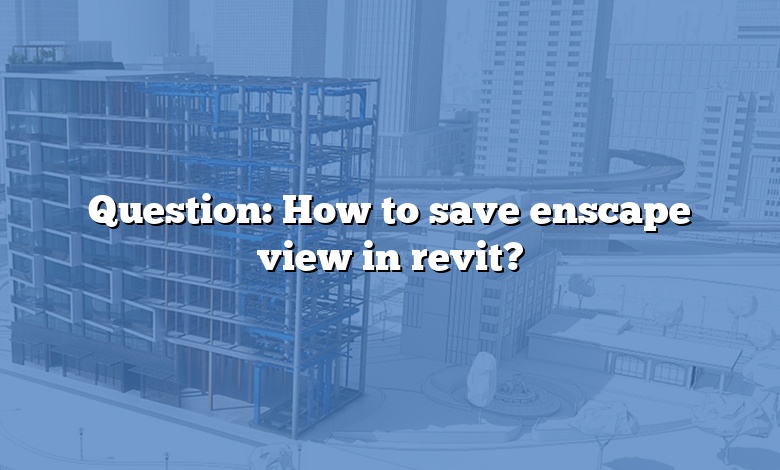Question: How to save enscape view in revit?