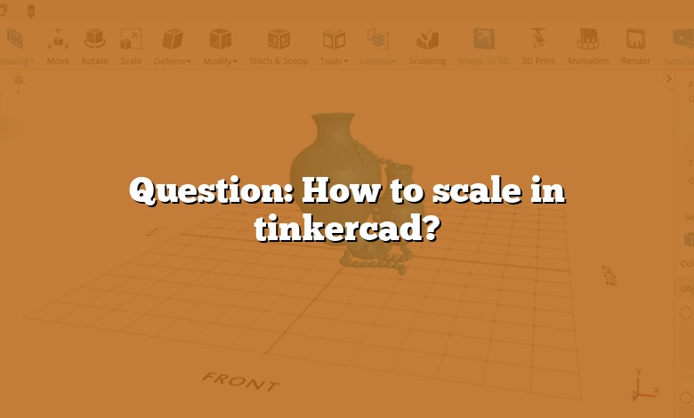 Question: How to scale in tinkercad?