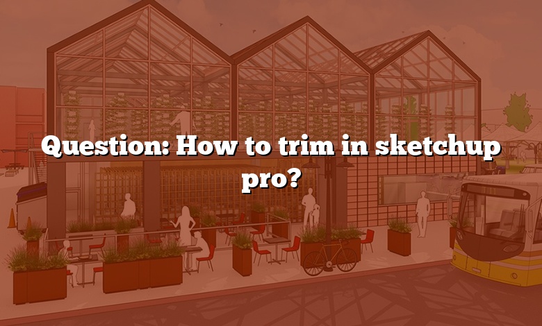 Question: How to trim in sketchup pro?