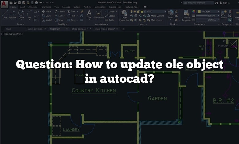 Question: How to update ole object in autocad?
