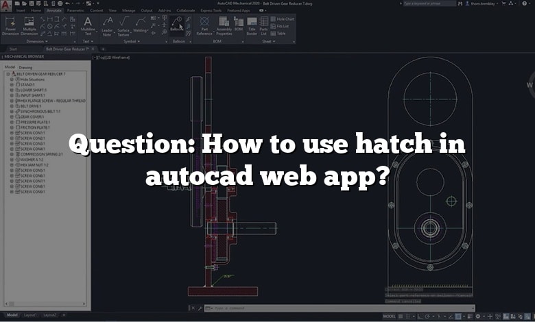 Question: How to use hatch in autocad web app?
