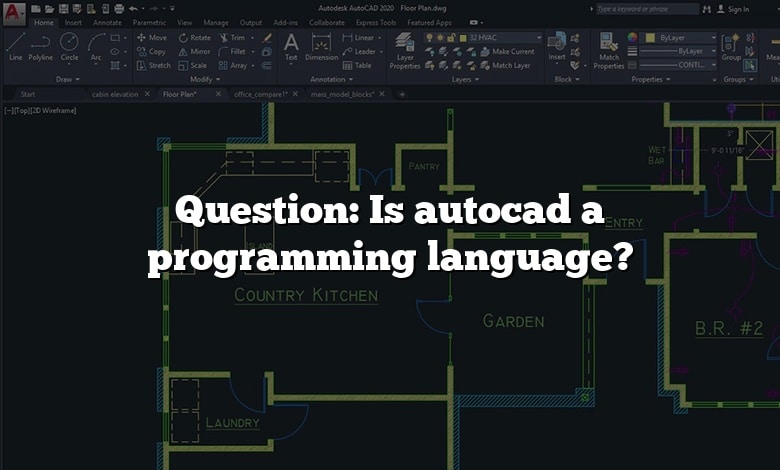 Question: Is autocad a programming language?