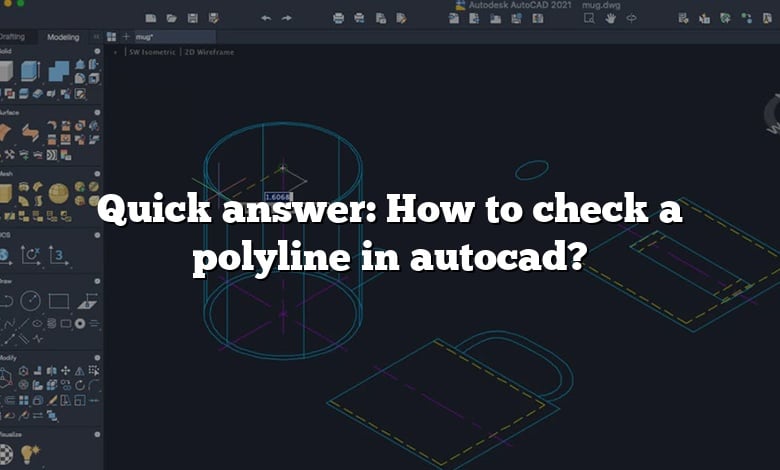 Quick answer: How to check a polyline in autocad?