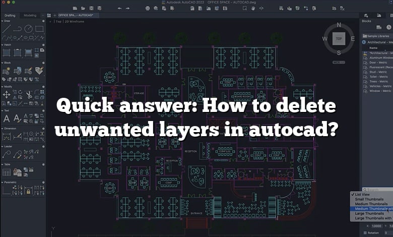 Quick answer: How to delete unwanted layers in autocad?