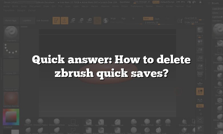 Quick answer: How to delete zbrush quick saves?