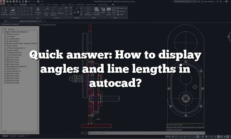 Quick answer: How to display angles and line lengths in autocad?