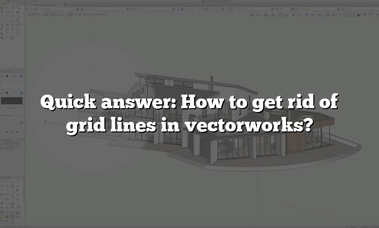 Quick answer: How to get rid of grid lines in vectorworks?