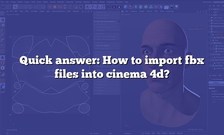 Quick answer: How to import fbx files into cinema 4d?