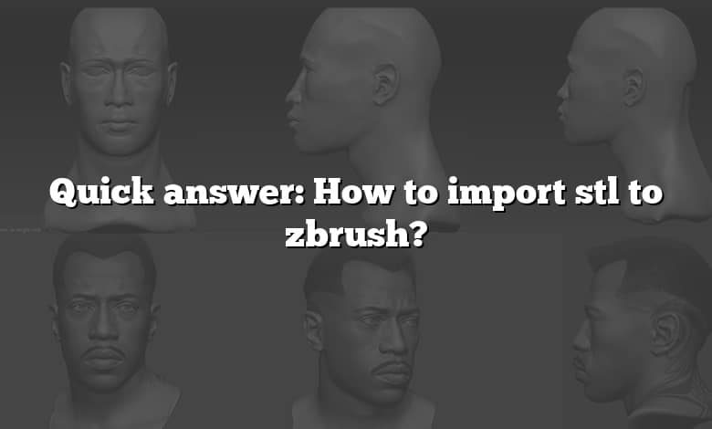 Quick answer: How to import stl to zbrush?