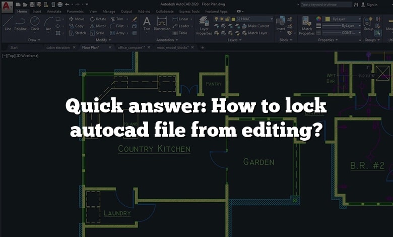 Quick answer: How to lock autocad file from editing?