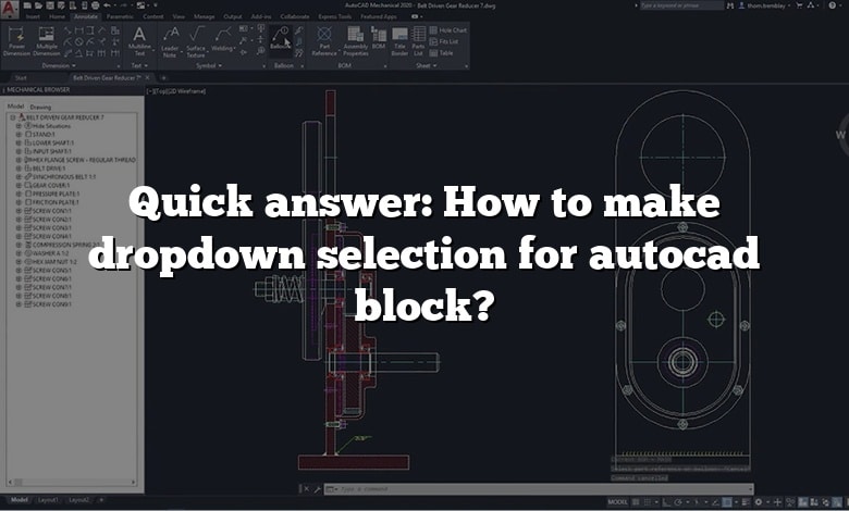 Quick answer: How to make dropdown selection for autocad block?