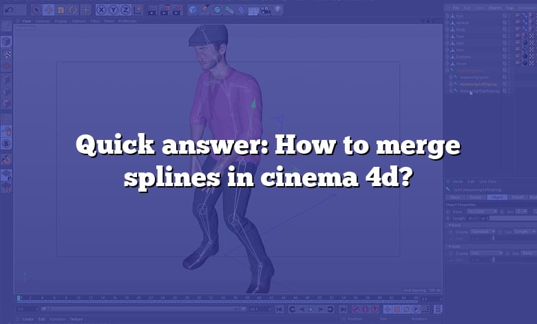 Quick answer: How to merge splines in cinema 4d?