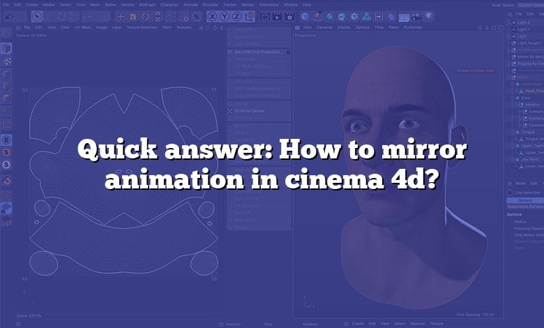 Quick answer: How to mirror animation in cinema 4d?