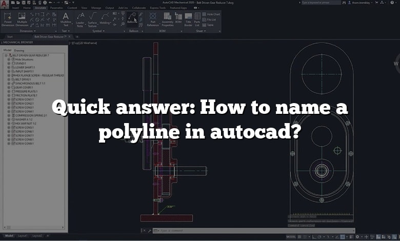 Quick answer: How to name a polyline in autocad?