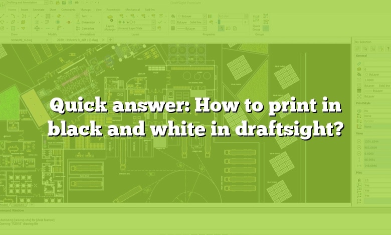 Quick answer: How to print in black and white in draftsight?