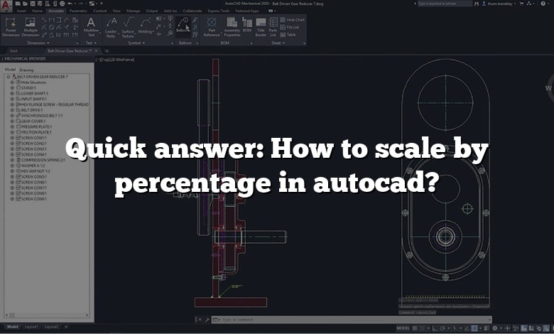 Quick answer: How to scale by percentage in autocad?