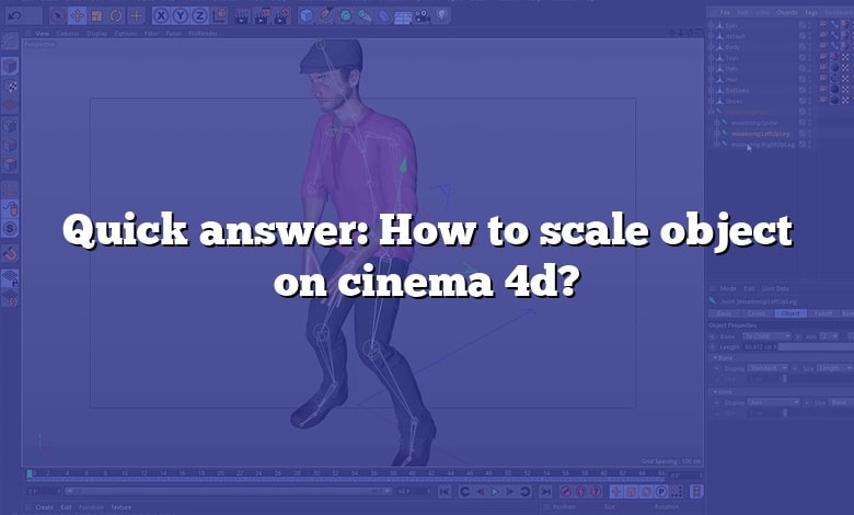 Quick answer: How to scale object on cinema 4d?