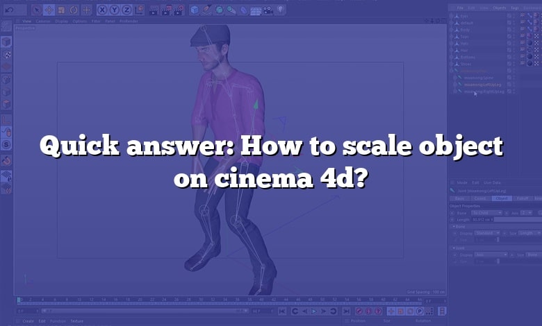 Quick answer: How to scale object on cinema 4d?