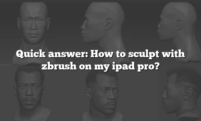 Quick answer: How to sculpt with zbrush on my ipad pro?