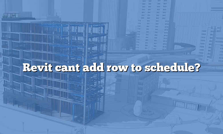 Revit cant add row to schedule?